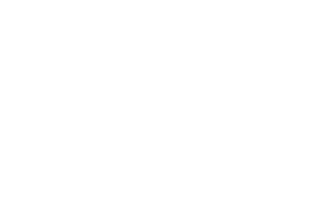 Mecánica Industrial J.A.A